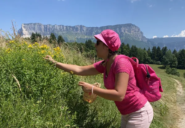 Découvrez et transformez les plantes sauvages avec Marilyne - Image n°3 - Wecandoo