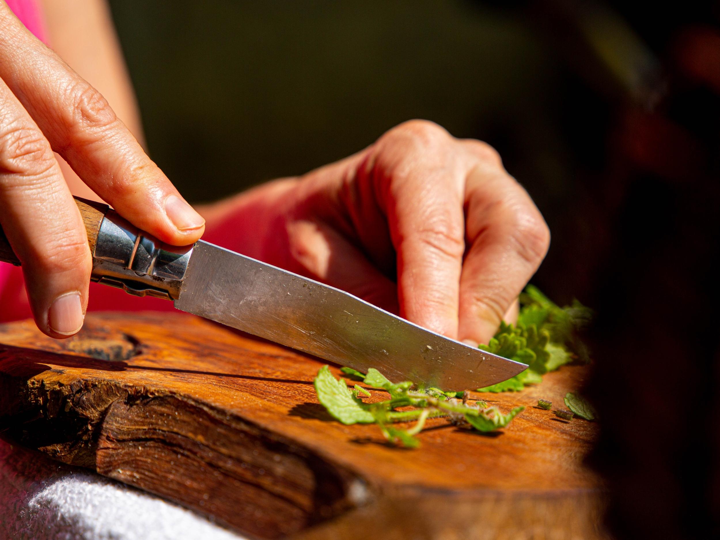 Découvrez et transformez les plantes sauvages avec Marilyne - Image n°8 - Wecandoo