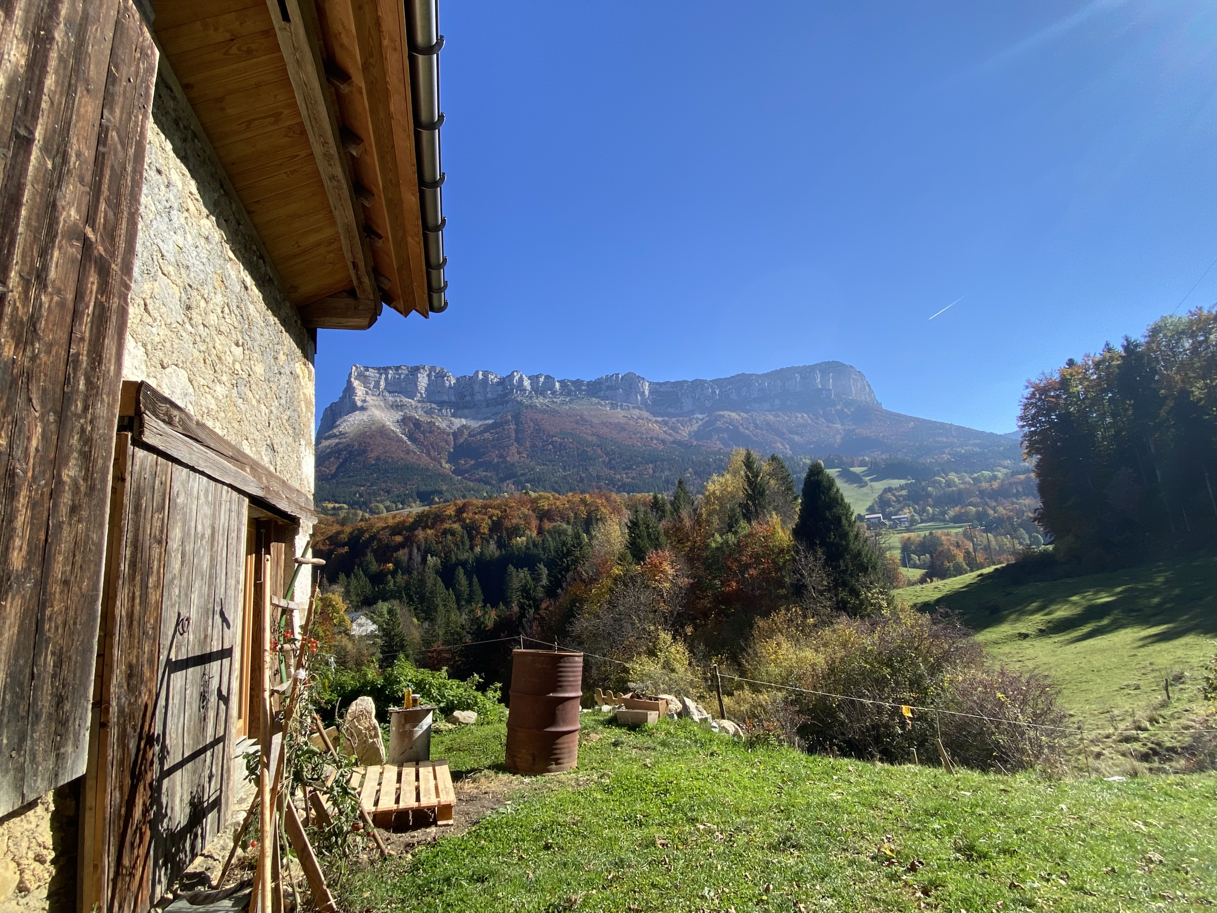 Découvrez et transformez les plantes sauvages avec Marilyne - Image n°9 - Wecandoo