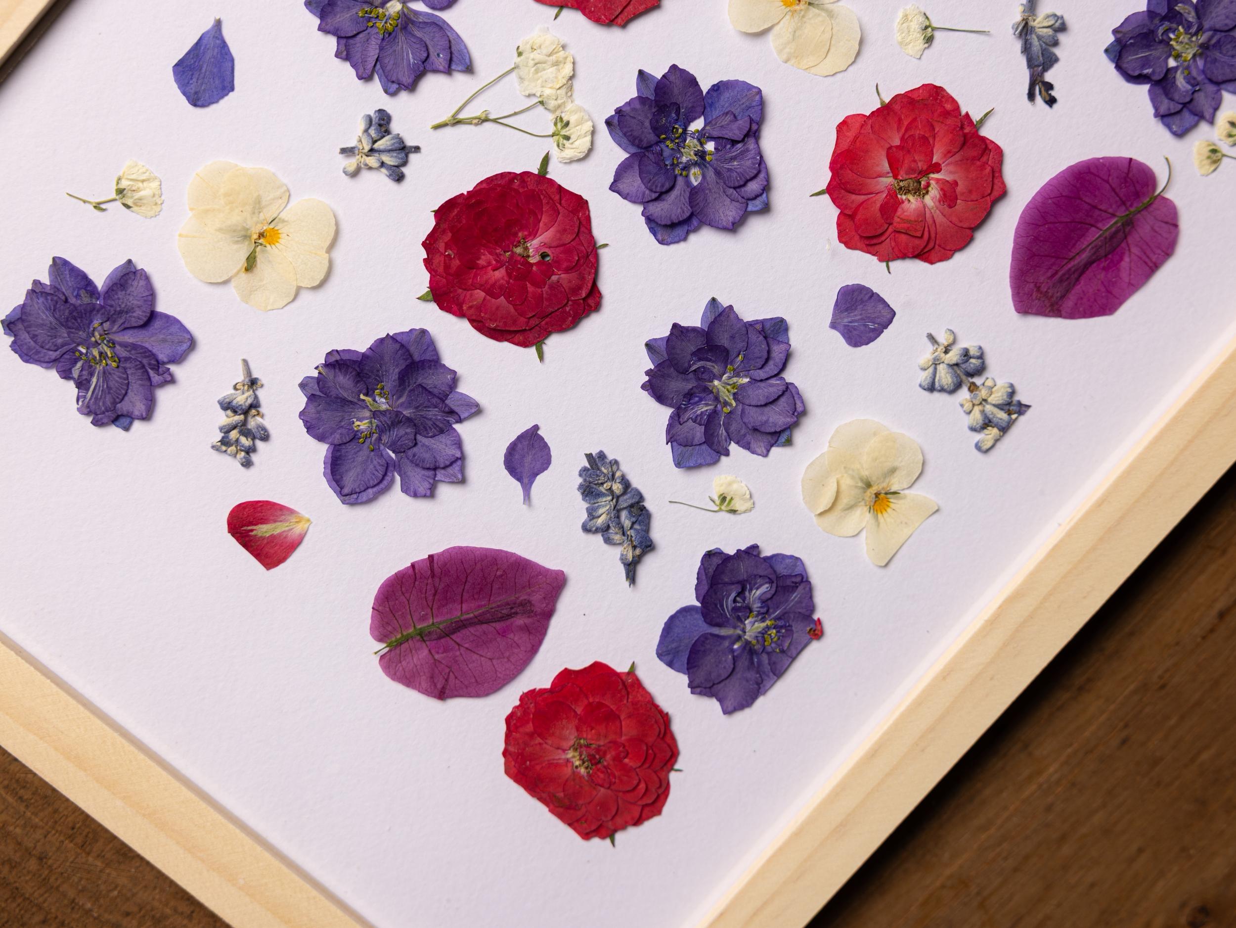 Composez votre herbier