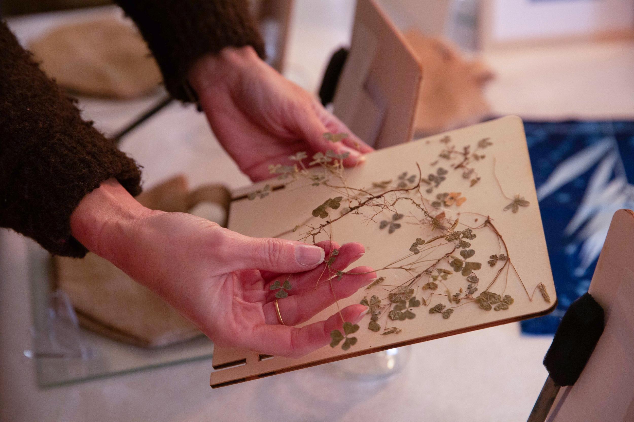 Initiez-vous au cyanotype avec Élodie - Image n°7 - Wecandoo