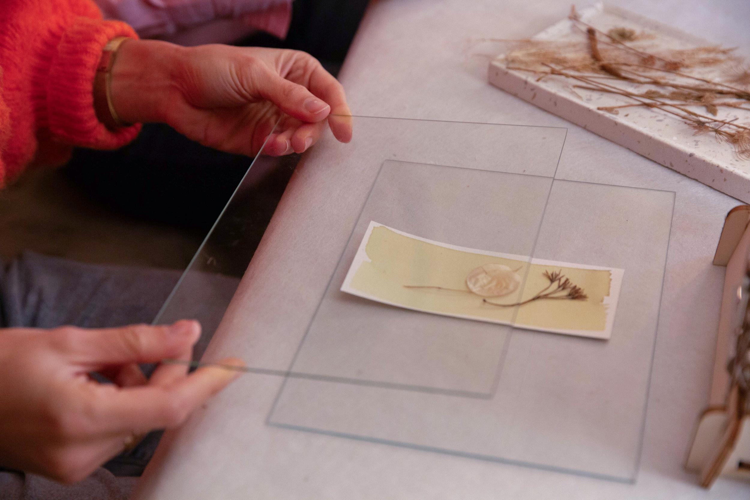 Initiez-vous au cyanotype avec Élodie - Image n°11 - Wecandoo