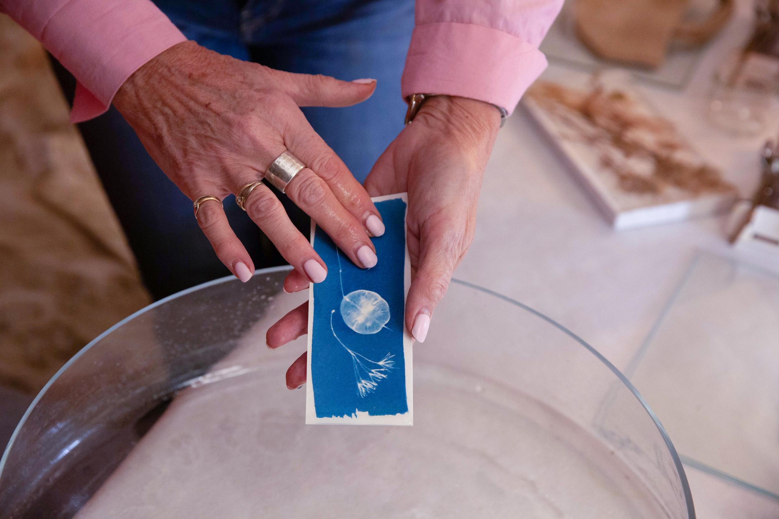 Initiez-vous au cyanotype avec Élodie - Image n°1 - Wecandoo