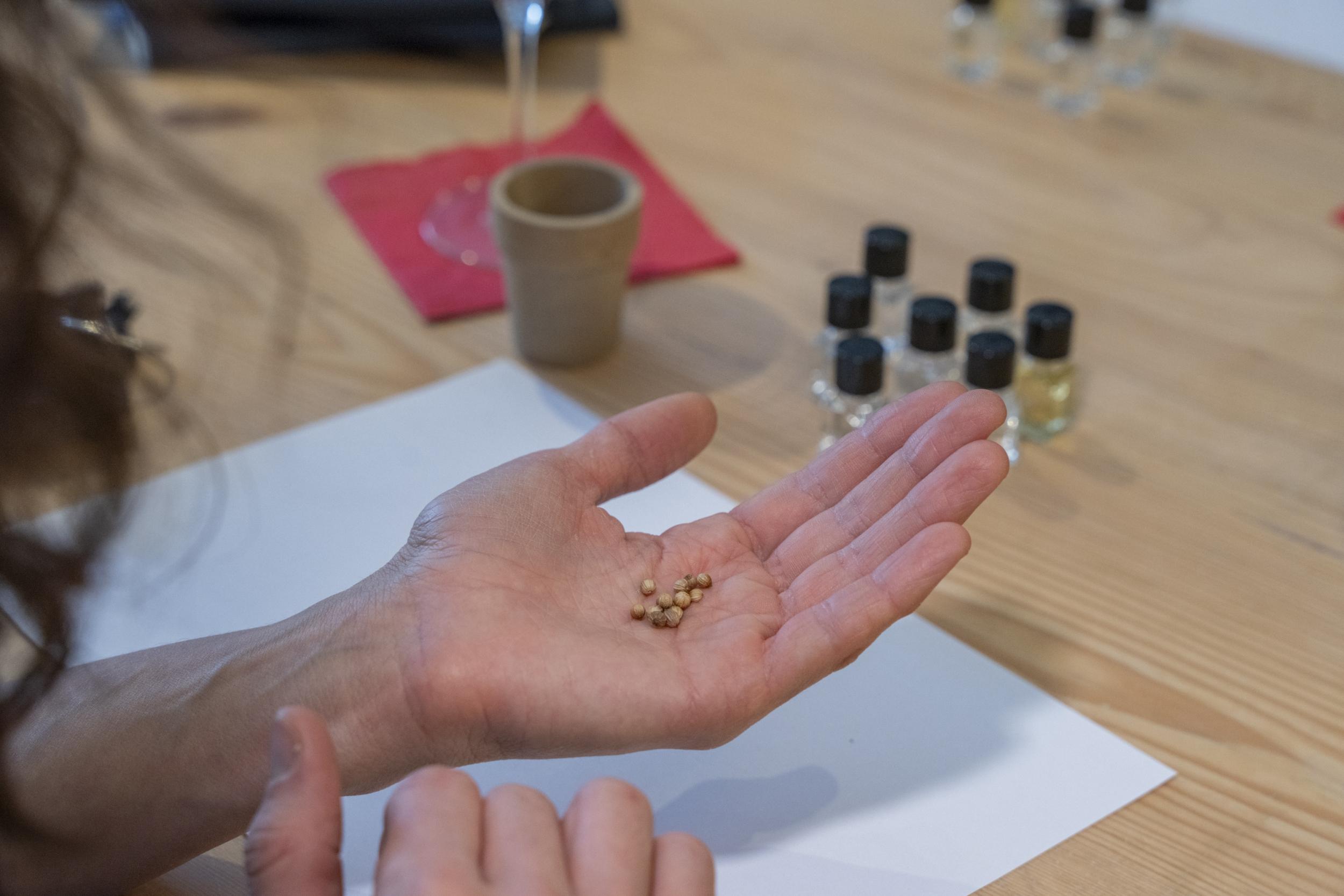 Initiez-vous à la dégustation olfactive du vin avec Léa - Image n°7 - Wecandoo