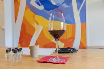 Dégustez 5 vins avec tous vos sens