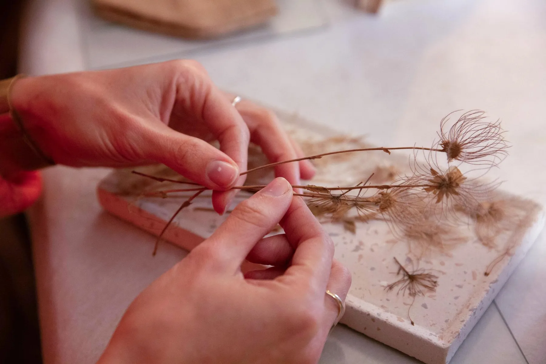 Initiez-vous au cyanotype avec Élodie - Afbeelding nr. 2 - Wecandoo