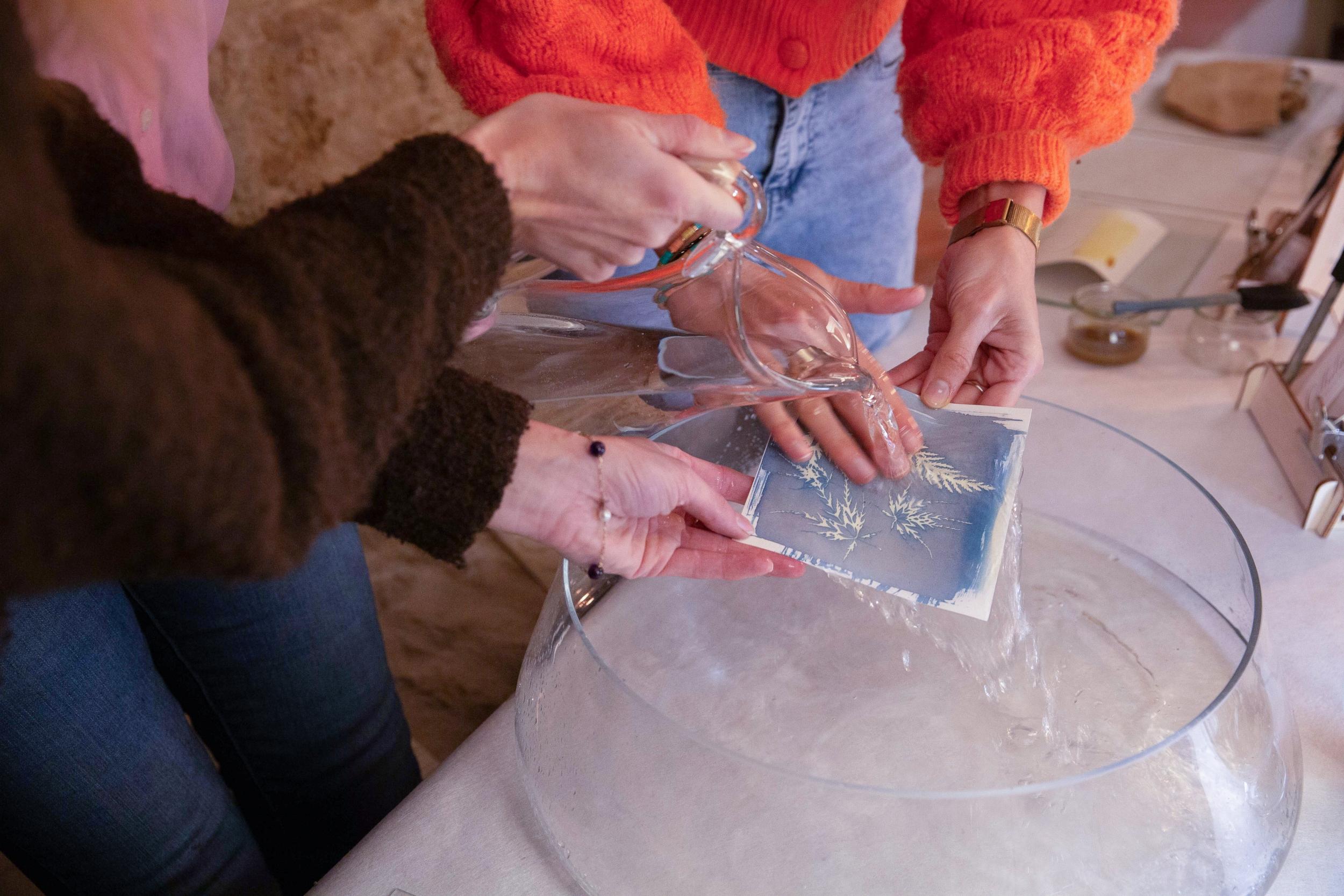 Initiez-vous au cyanotype avec Élodie - Image n°5 - Wecandoo