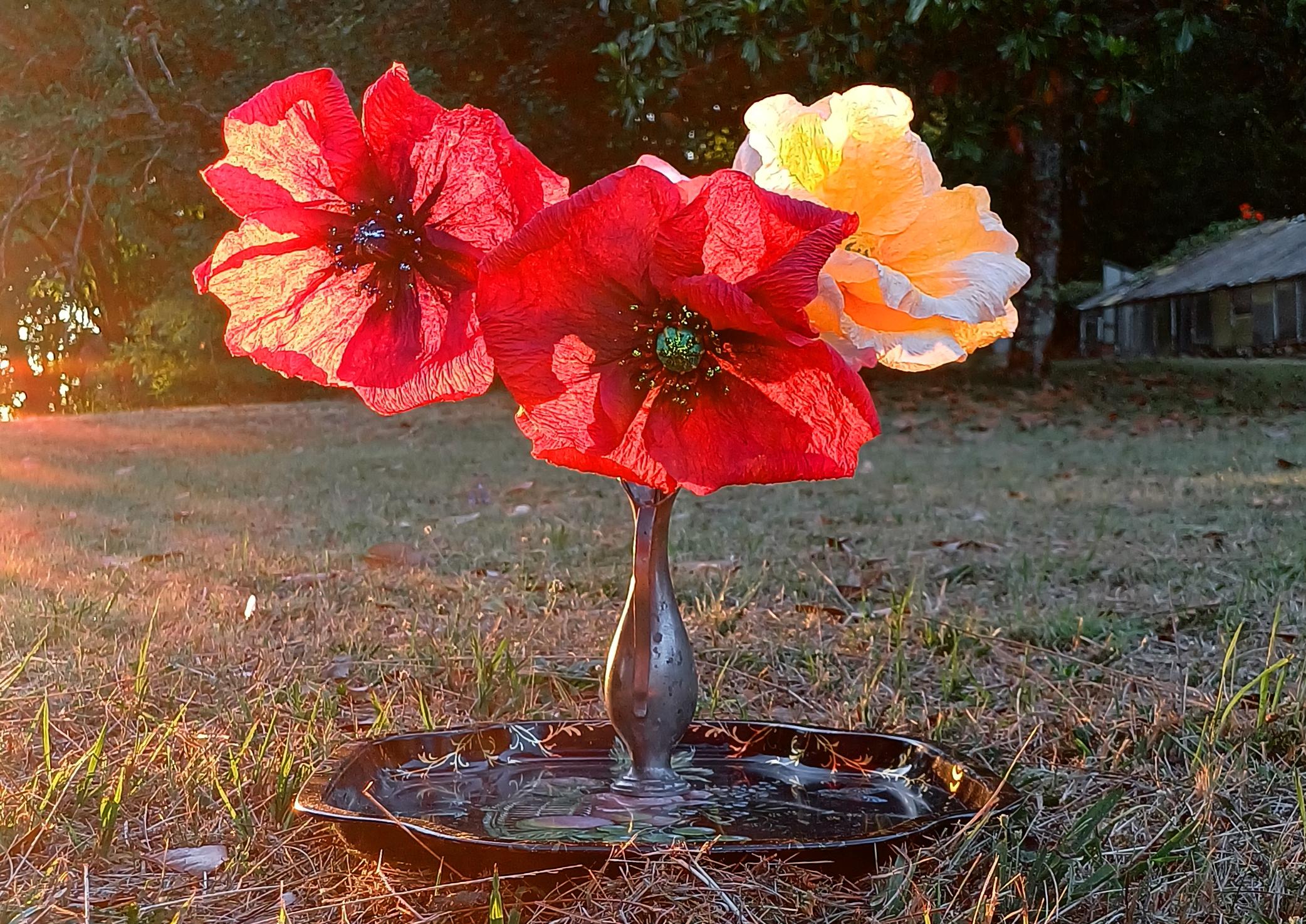 Créez une fleur éternelle et sa tige en papier avec Anna à Paris - Image n°7 - Wecandoo