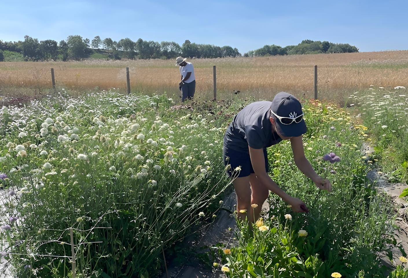 Immergez-vous dans la vie d'une floricultrice sur une journée avec Claire-Charlotte - Image n°2 - Wecandoo