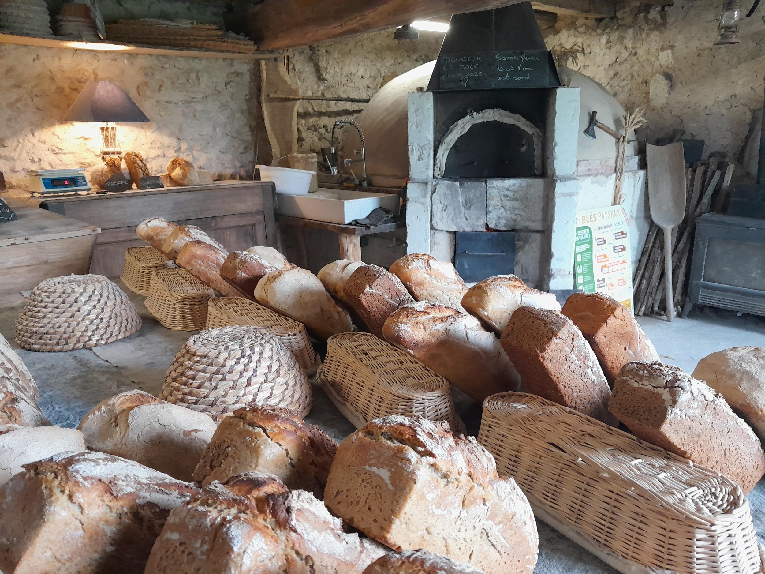 Découvrez le métier d’un paysan meunier boulanger le temps d'une journée avec Nicolas - Image n°6 - Wecandoo