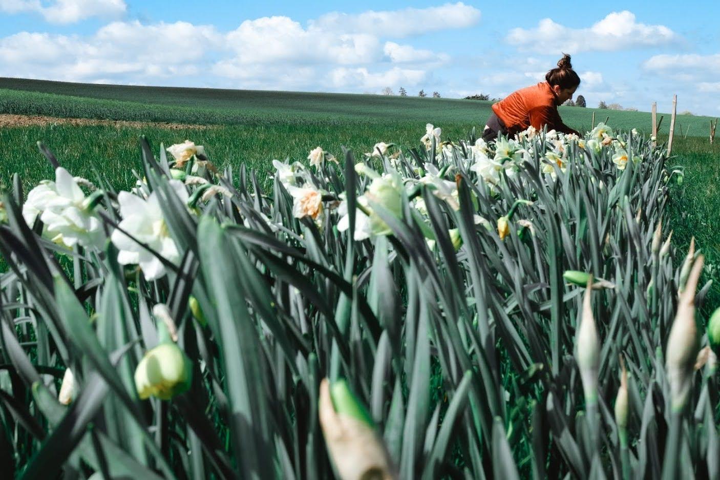 Immergez-vous dans la vie d'une floricultrice sur une journée avec Claire-Charlotte - Image n°9 - Wecandoo