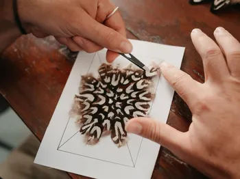 Réalisez votre tableau en plumes à Montpellier