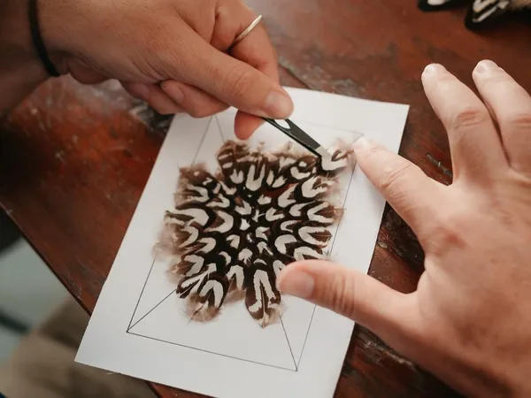 Réalisez votre tableau en plumes