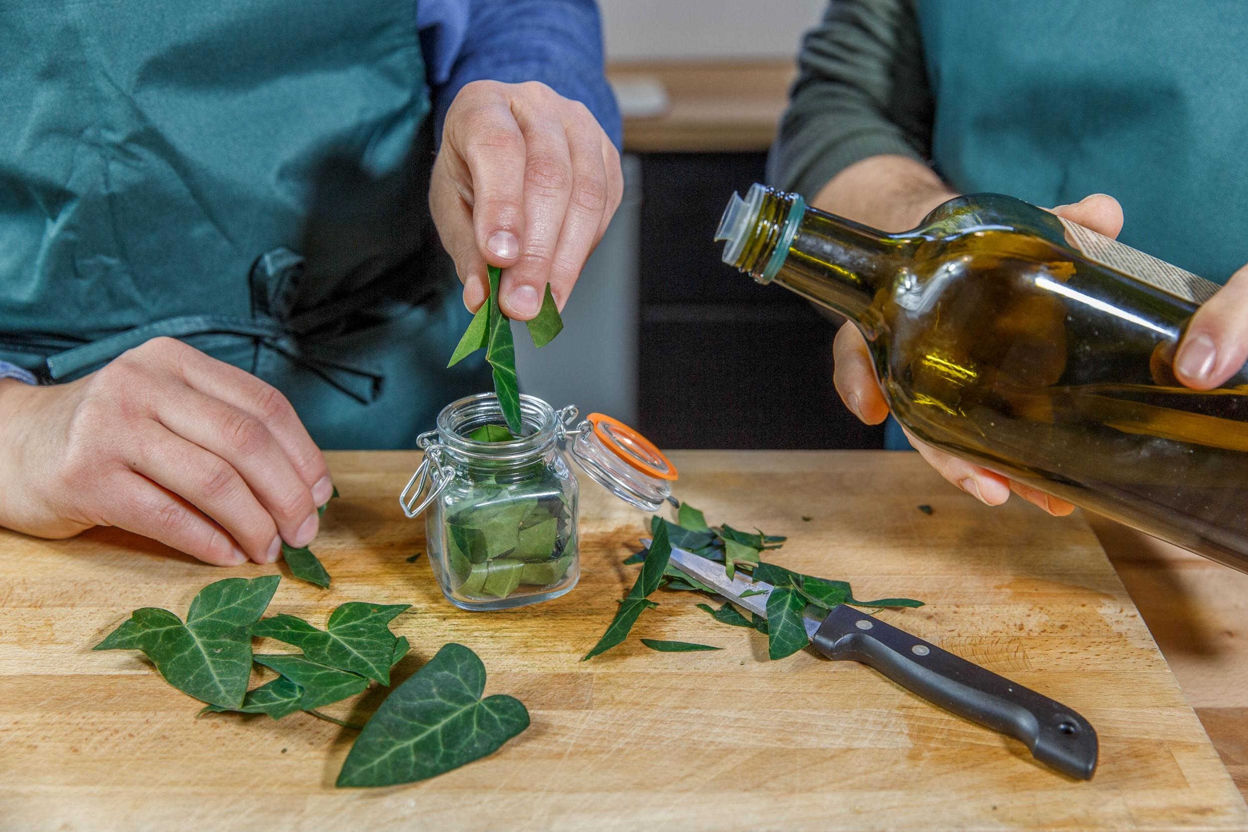 Cueillez des plantes sauvages et cuisinez-les en forêt - Image n°8 - Wecandoo