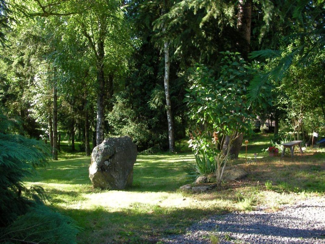 Cueillez des plantes sauvages et cuisinez-les en forêt - Image n°11 - Wecandoo
