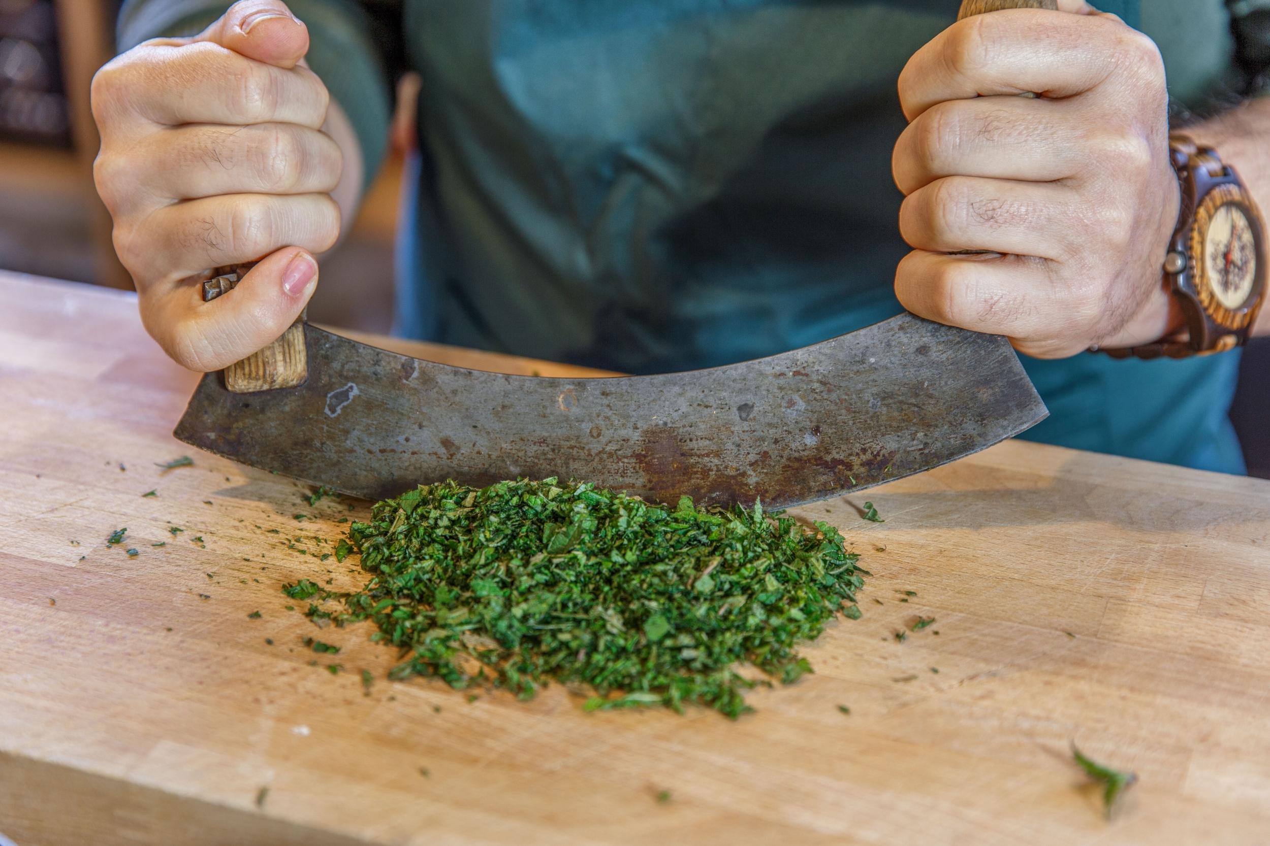 Cueillez et cuisinez des plantes sauvages en forêt