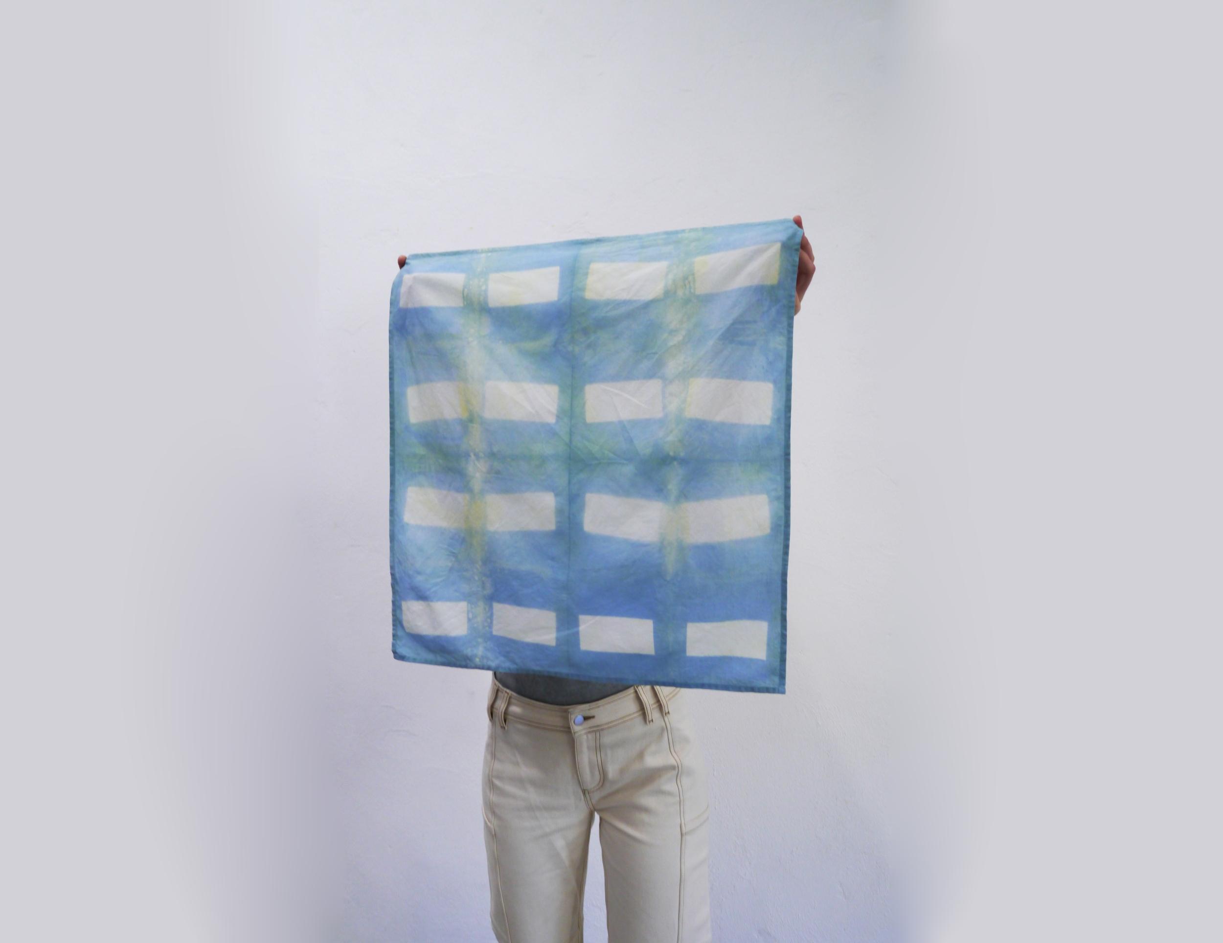 Créez votre foulard en teinture végétale avec Margot - Afbeelding nr. 4 - Wecandoo