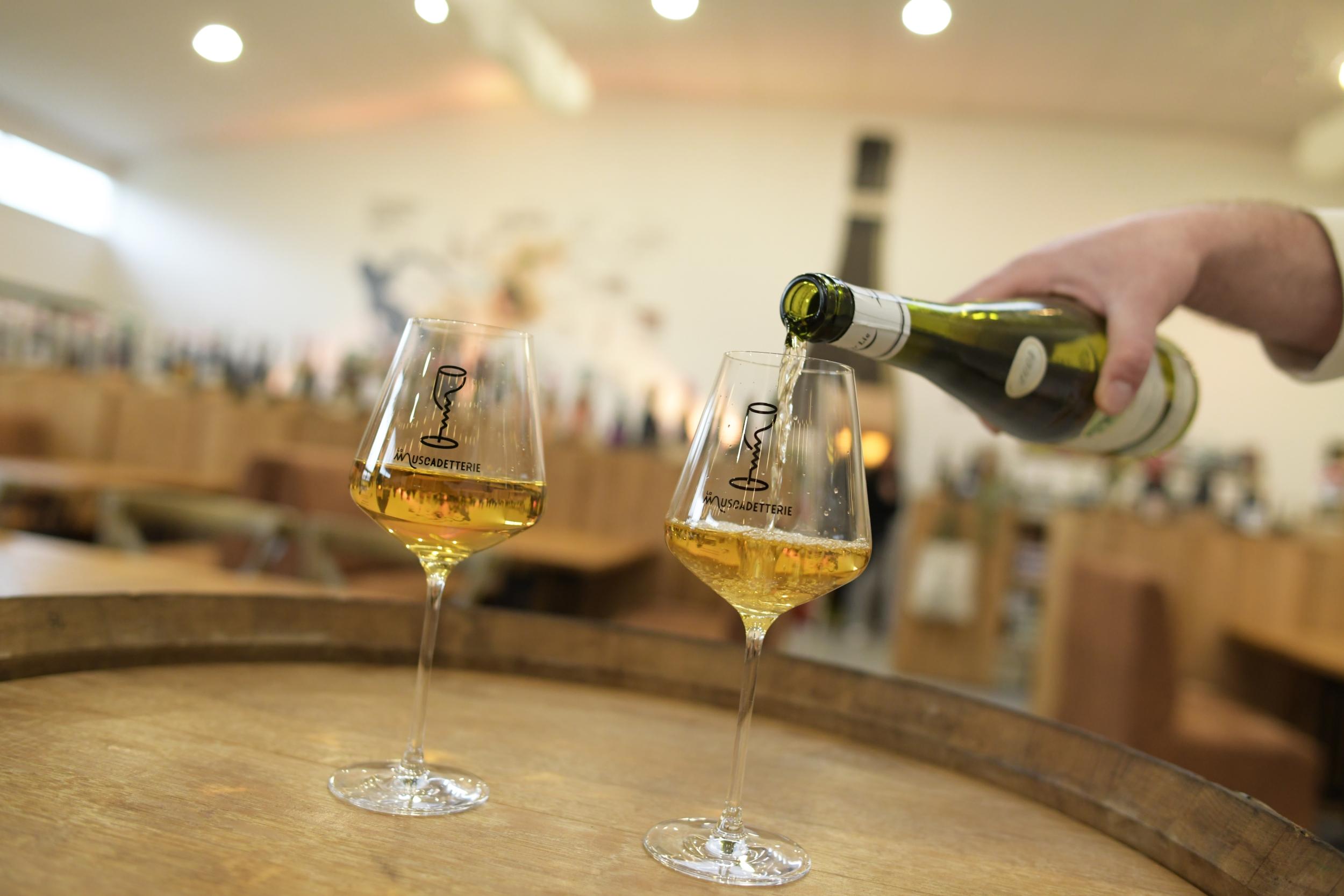 Dégustez 5 cuvées de Muscadet avec Hedi - Image n°1 - Wecandoo