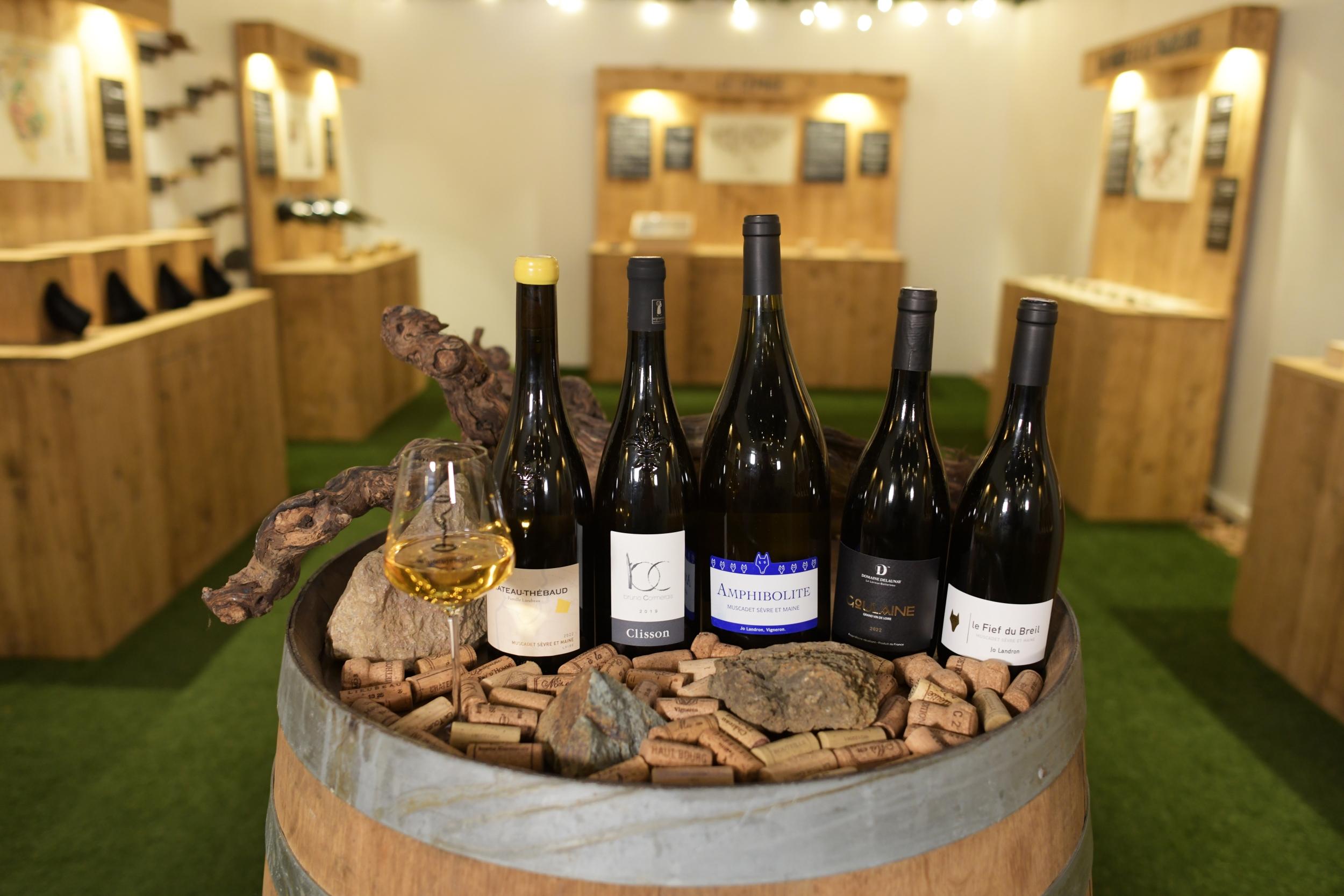 Dégustez 5 cuvées de Muscadet avec Hedi - Image n°7 - Wecandoo