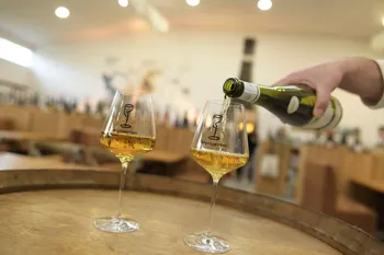 Dégustez 5 cuvées de Muscadet