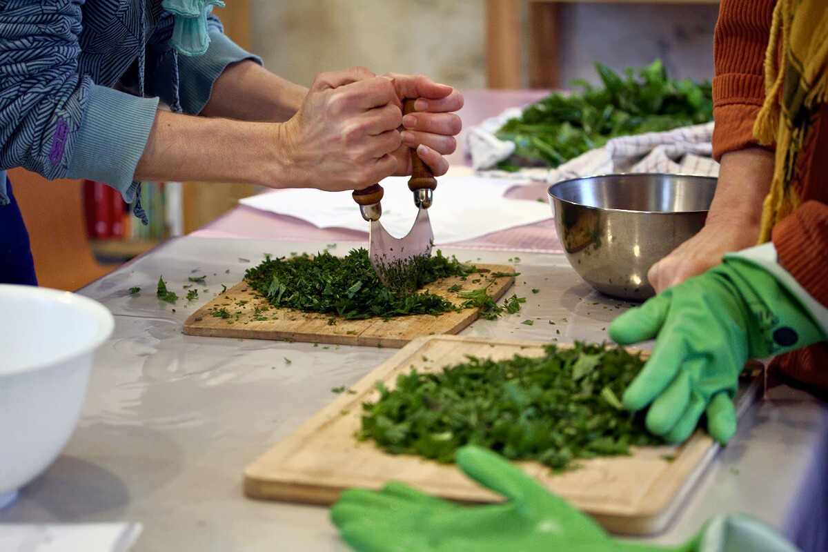 Cueillez et cuisinez des plantes sauvages