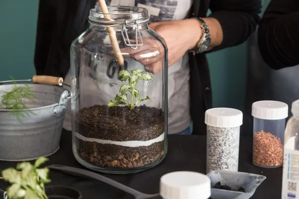 Créez votre terrarium - Image n°2 - Wecandoo