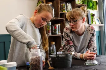 Créez votre terrarium