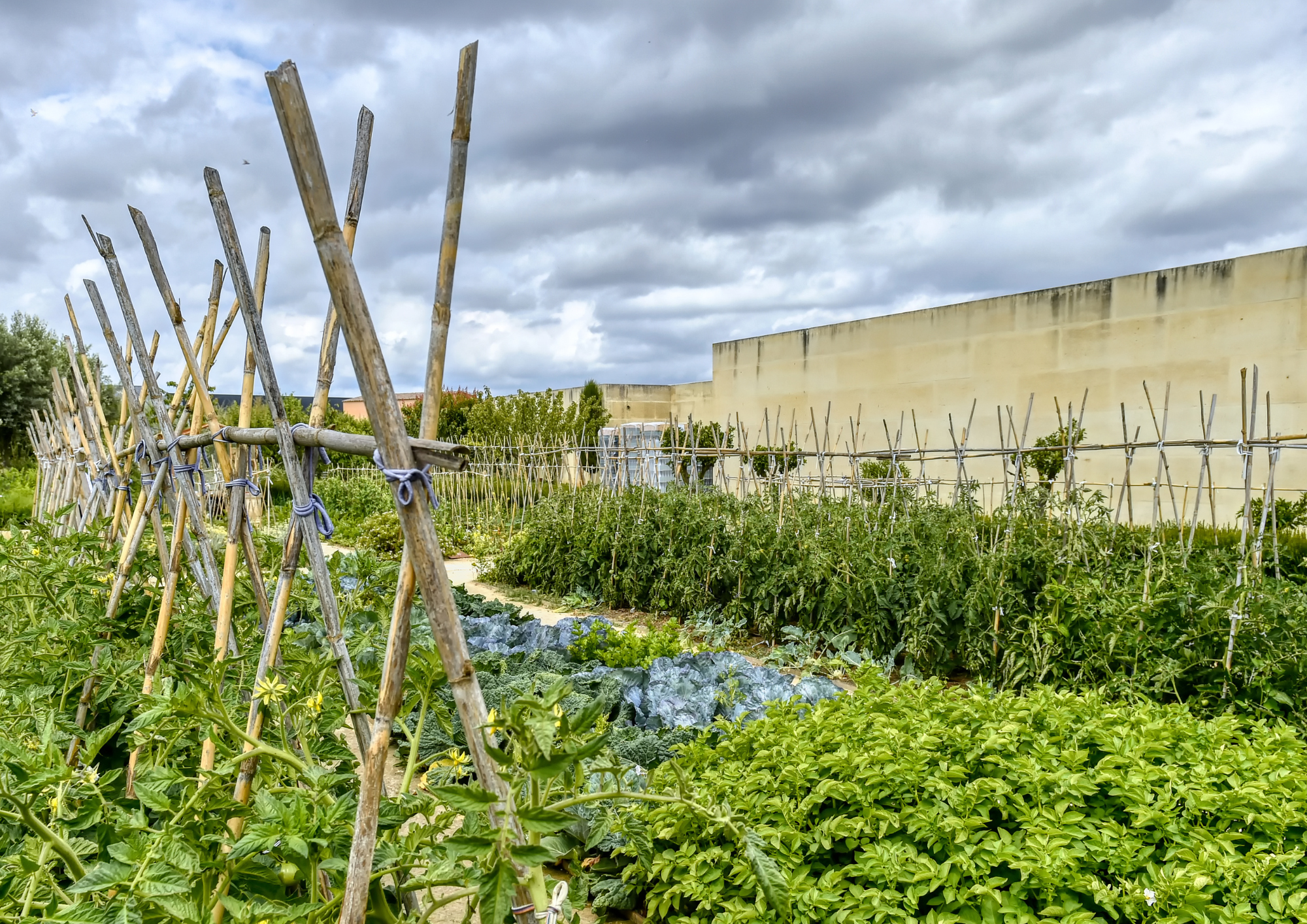Cuisinez votre repas au sein d'un domaine viticole avec Yann - Image n°10 - Wecandoo