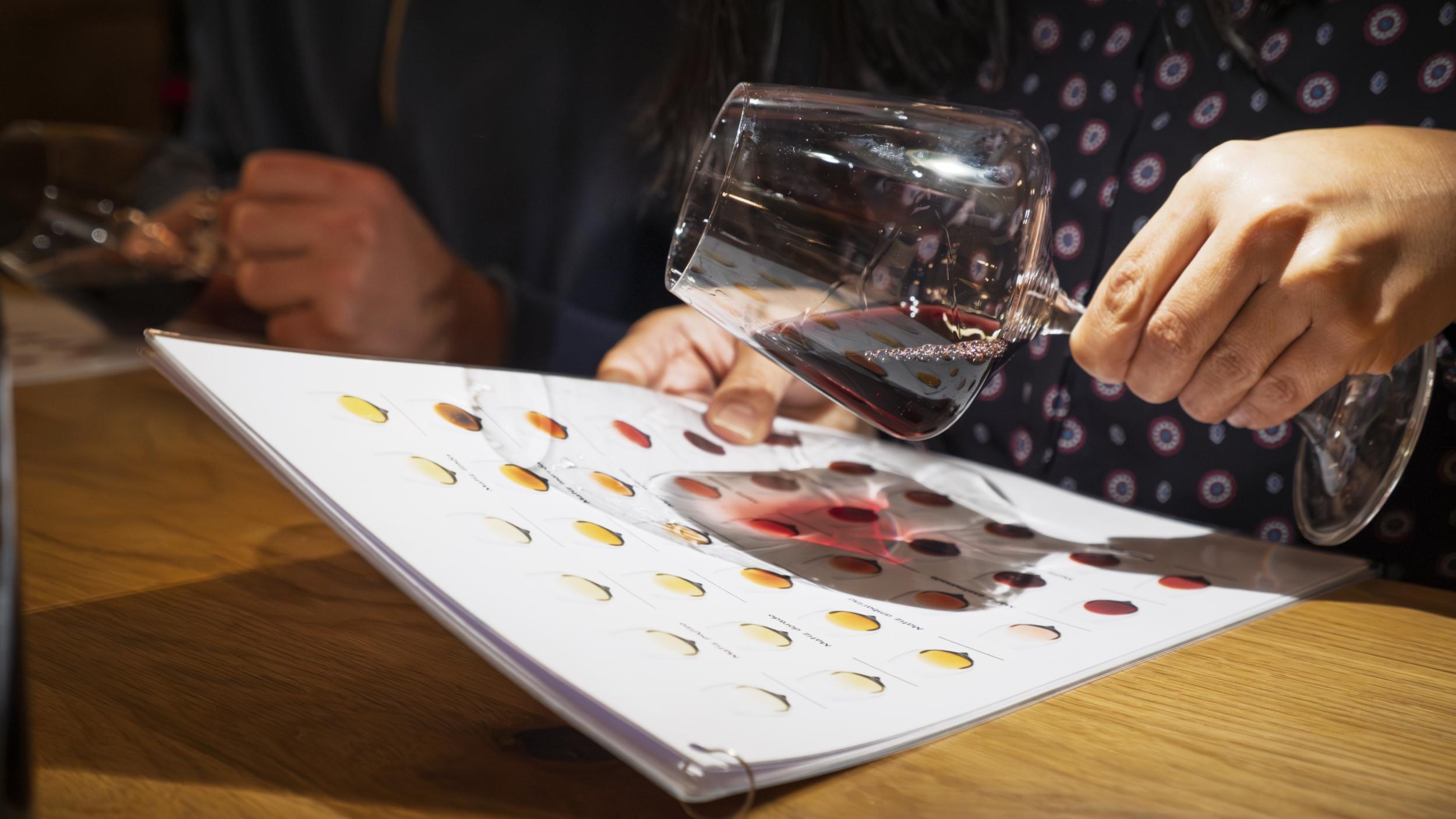 Initiez-vous à la dégustation de vin avec Arthur - Image n°2 - Wecandoo