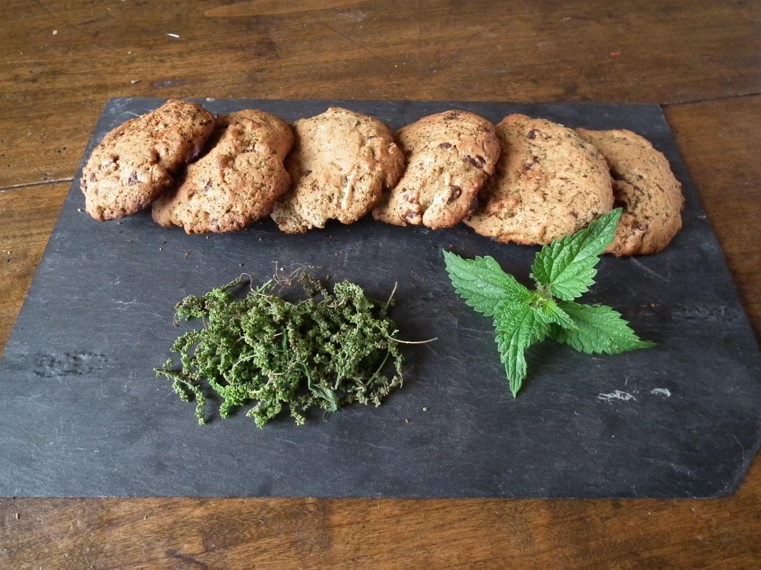 Cuisinez des plantes sauvages de saison avec Amandine - Image n°8 - Wecandoo