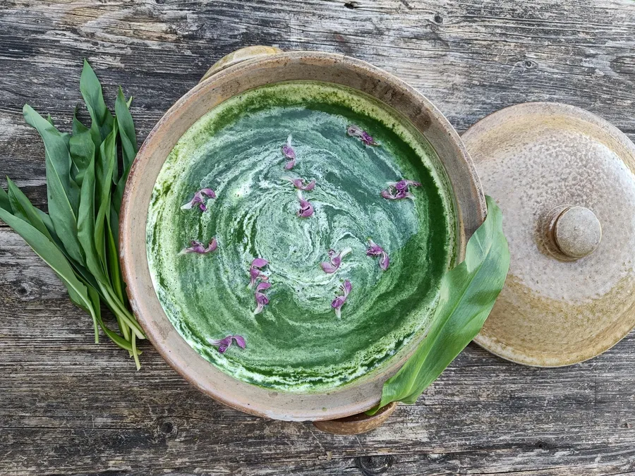 Cuisinez des plantes sauvages de saison avec Amandine - Image n°1 - Wecandoo