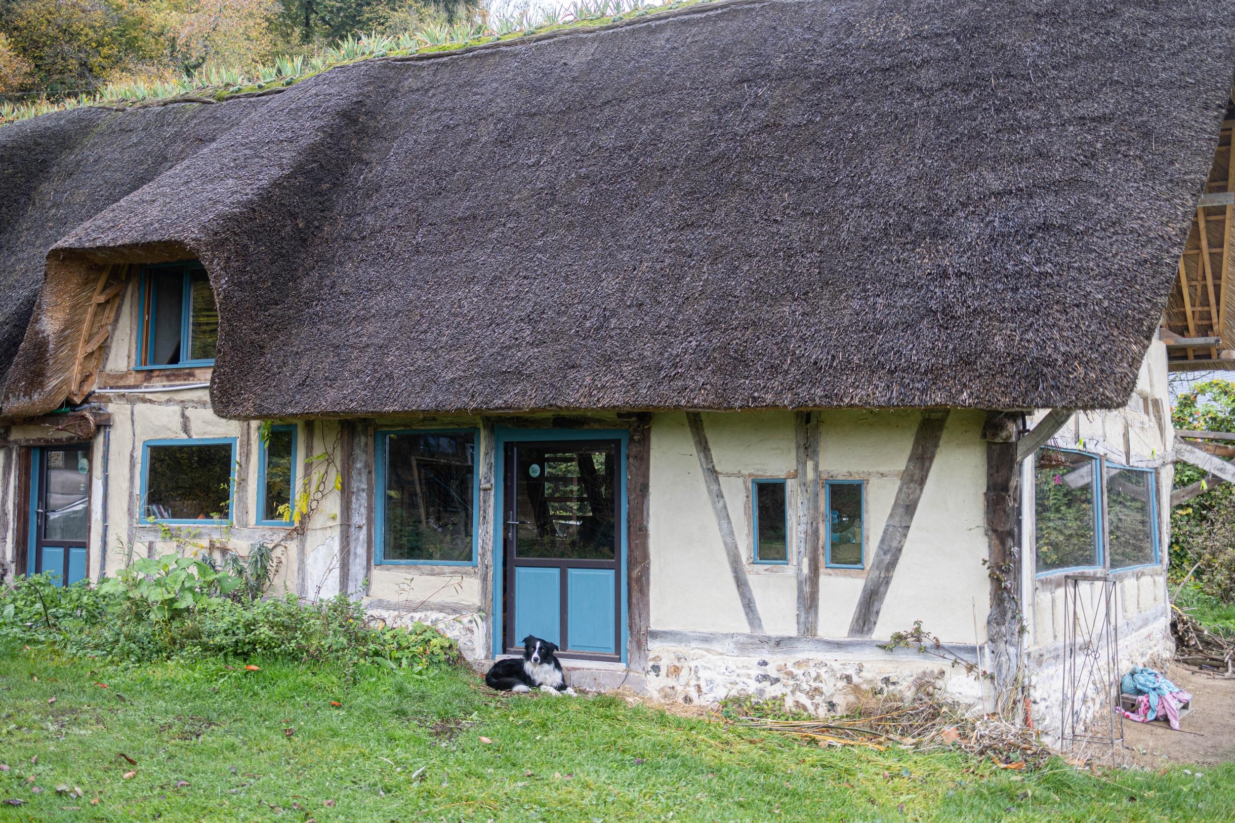 Initiez vous à la vannerie sauvage - Image n°10 - Wecandoo