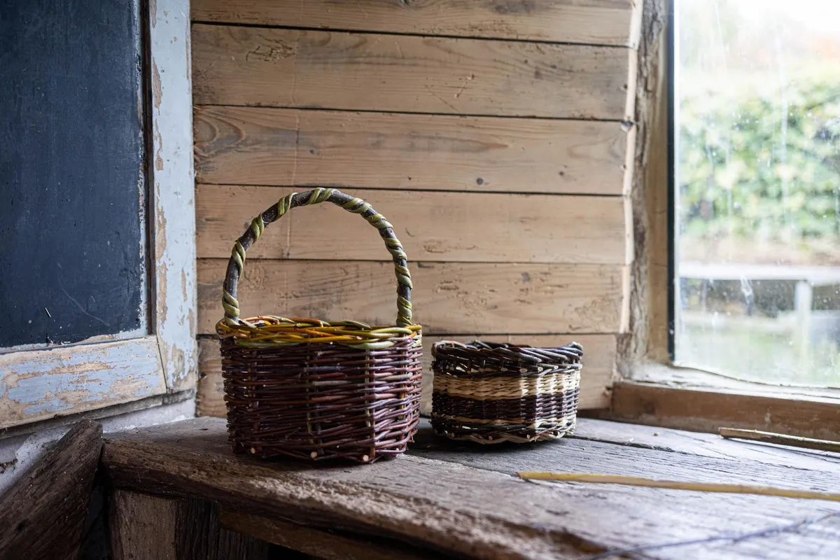 Initiez vous à la vannerie sauvage