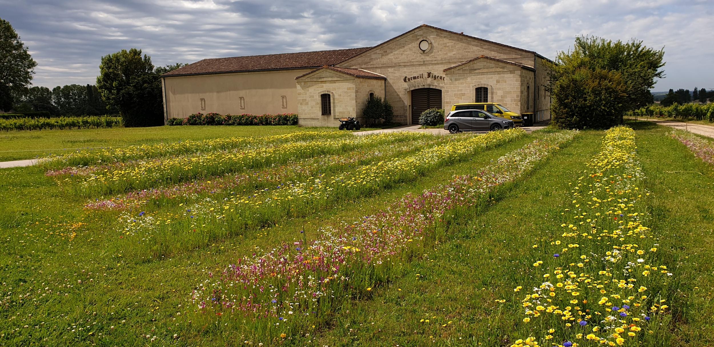 Assemblez votre vin rouge - Image n°9 - Wecandoo