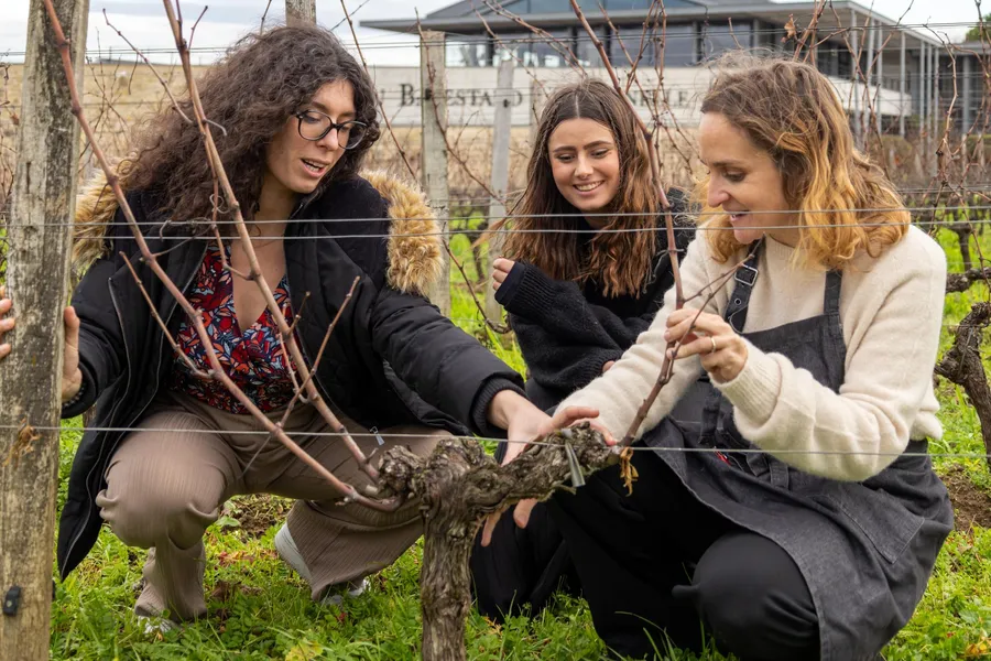 Visitez un château Grand Cru classé de Saint-Émilion et initiez-vous à l'œnologie - Image n°1 - Wecandoo