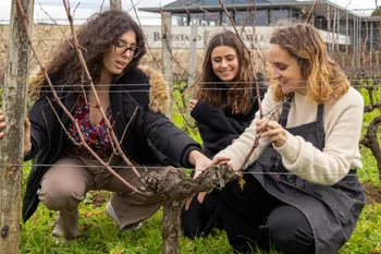 Initiez-vous à l'œnologie