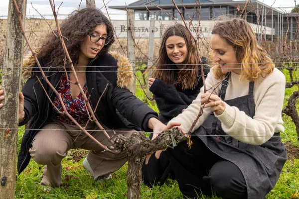 Initiez-vous à l'œnologie en Grand Cru classé