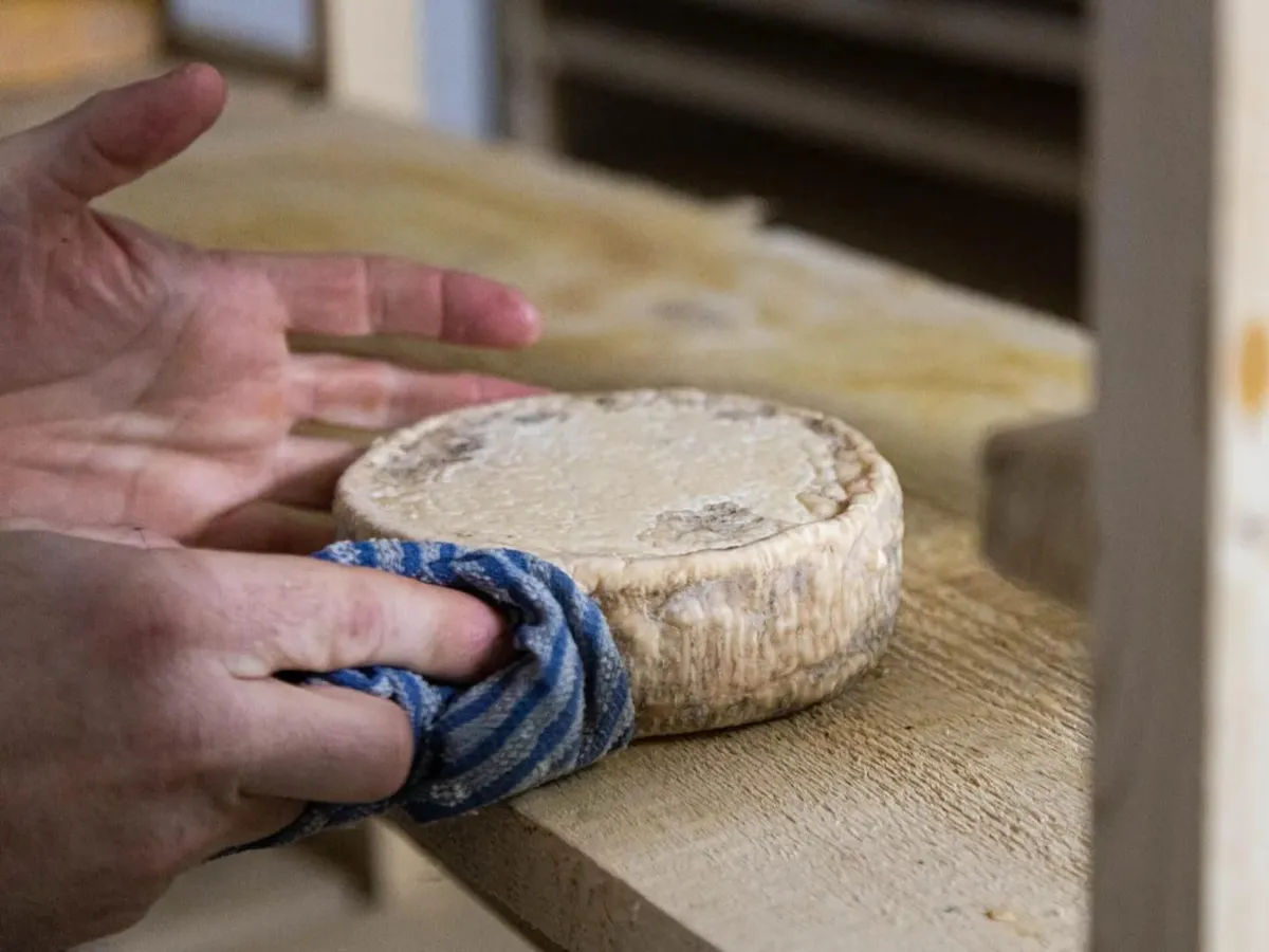 Fabriquez votre tomme de Nancy bio