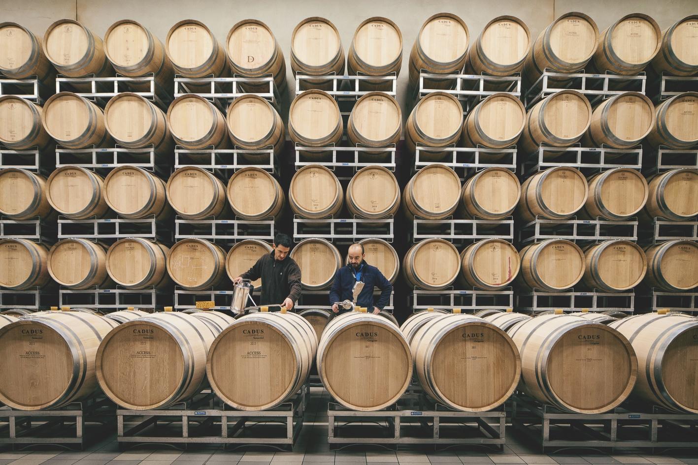 Unissez votre équipe et assemblez votre Saint-Emilion Grand-Cru avec Coraline - Afbeelding nr. 5 - Wecandoo