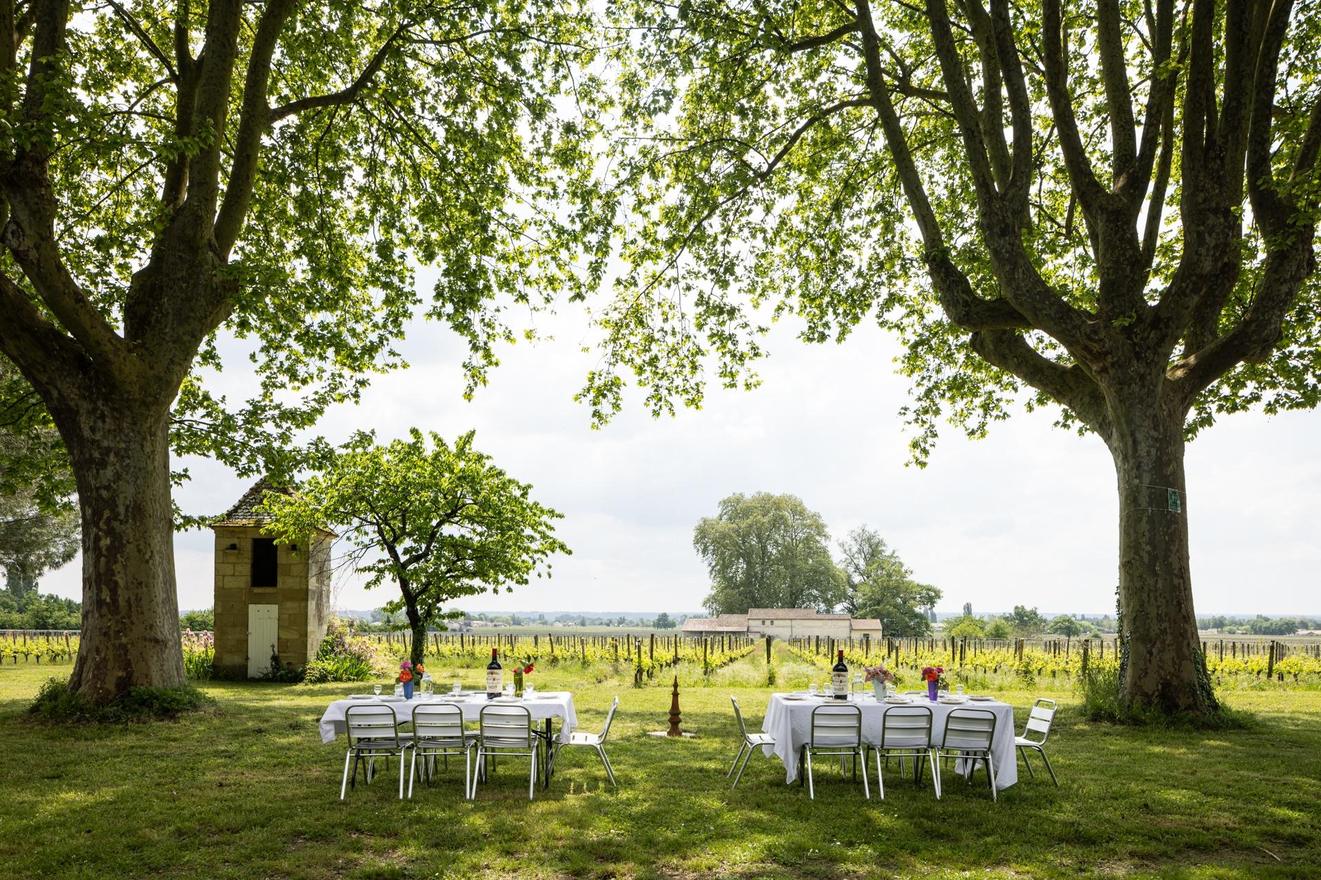 Unissez votre équipe et assemblez votre Saint-Emilion Grand-Cru avec Coraline - Afbeelding nr. 11 - Wecandoo