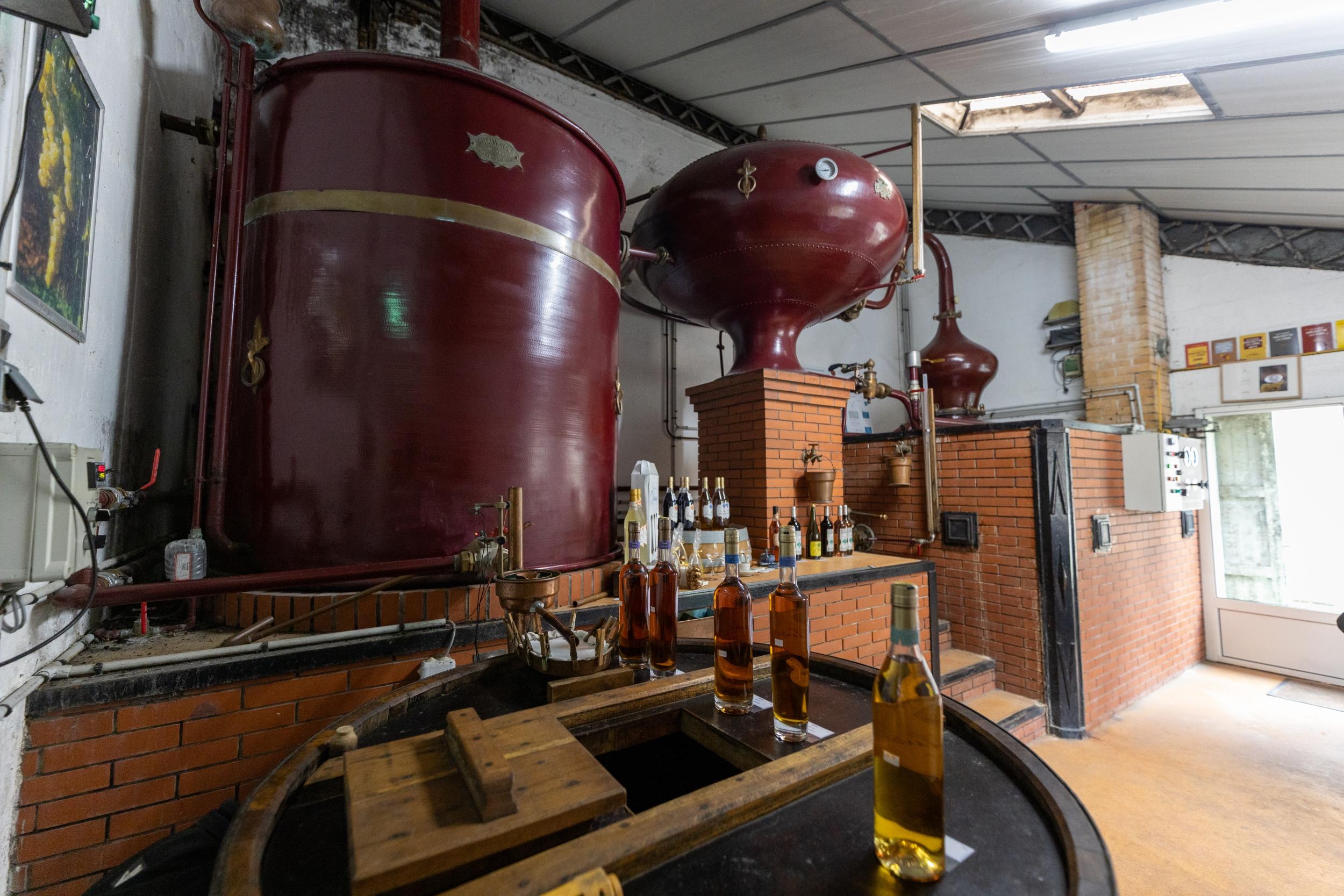 Assemblez votre bouteille de cognac avec Élodie - Image n°8 - Wecandoo