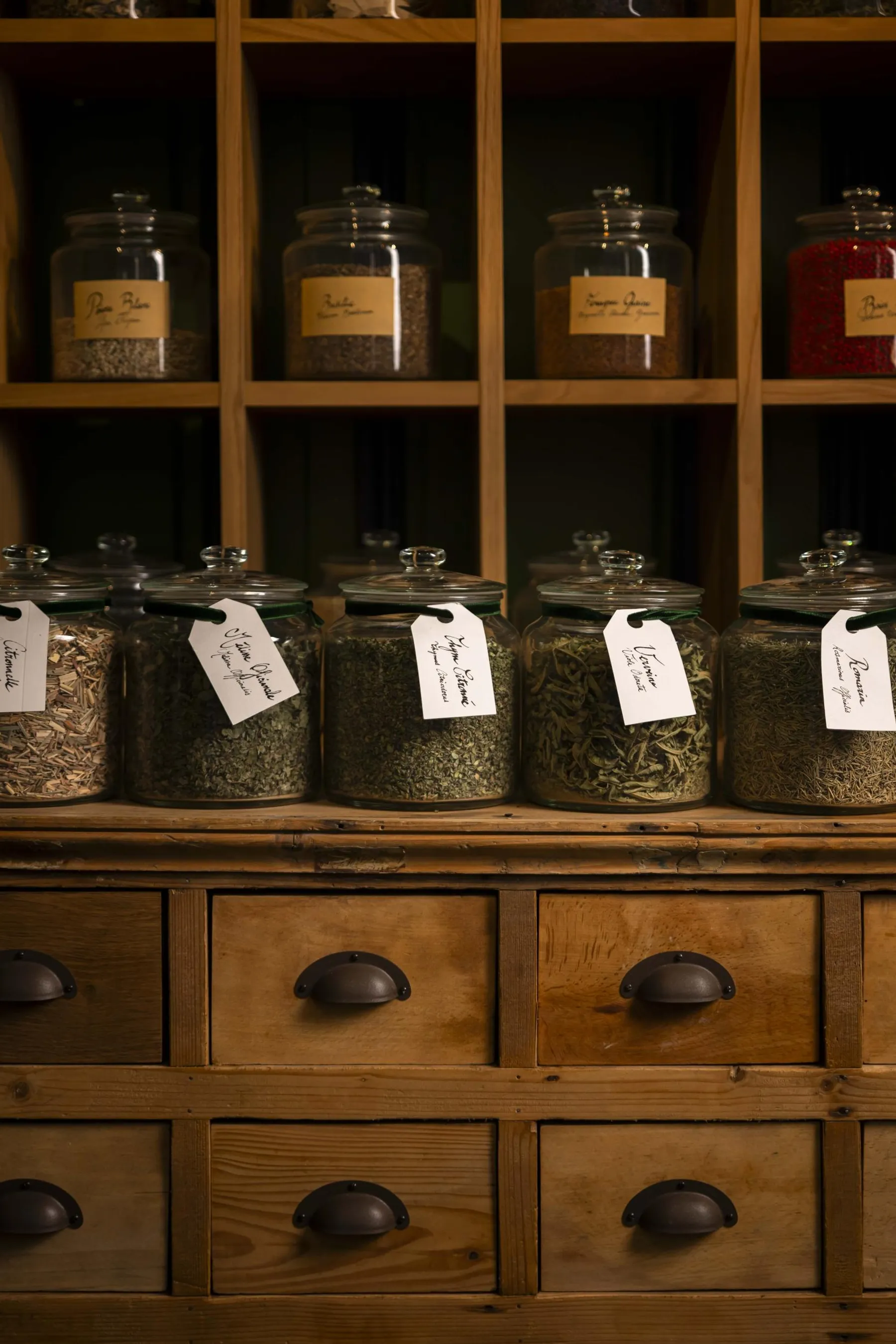 Distillez votre propre gin au cœur de Paris avec Charlotte - Image n°5 - Wecandoo