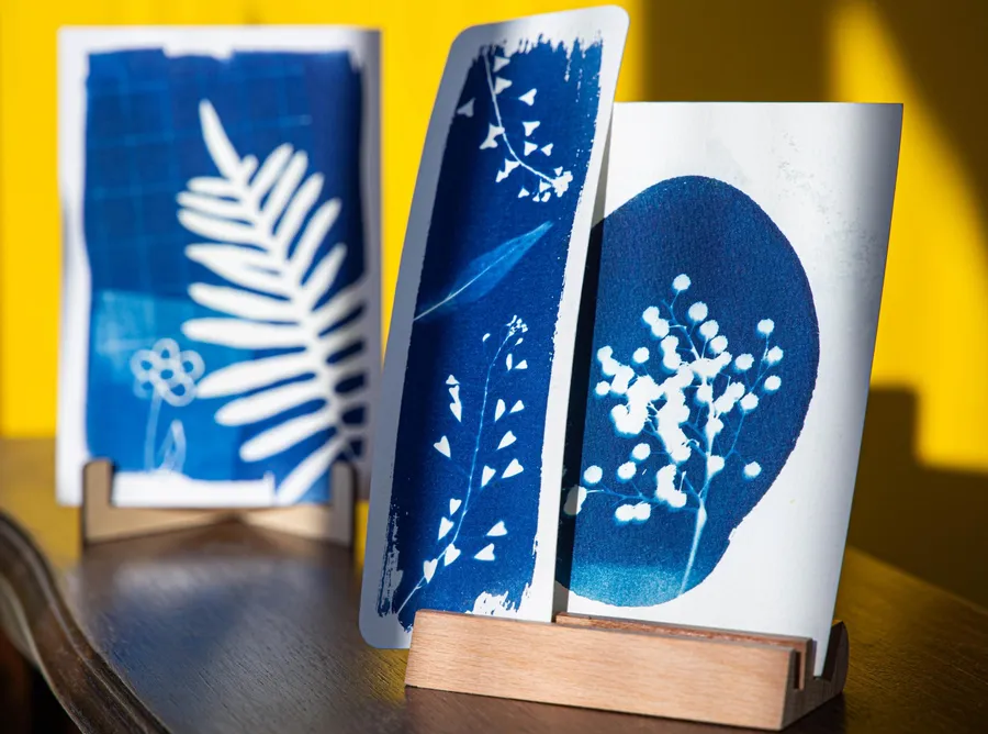 Initiez-vous à la technique du cyanotype avec Émilie - Image n°1 - Wecandoo