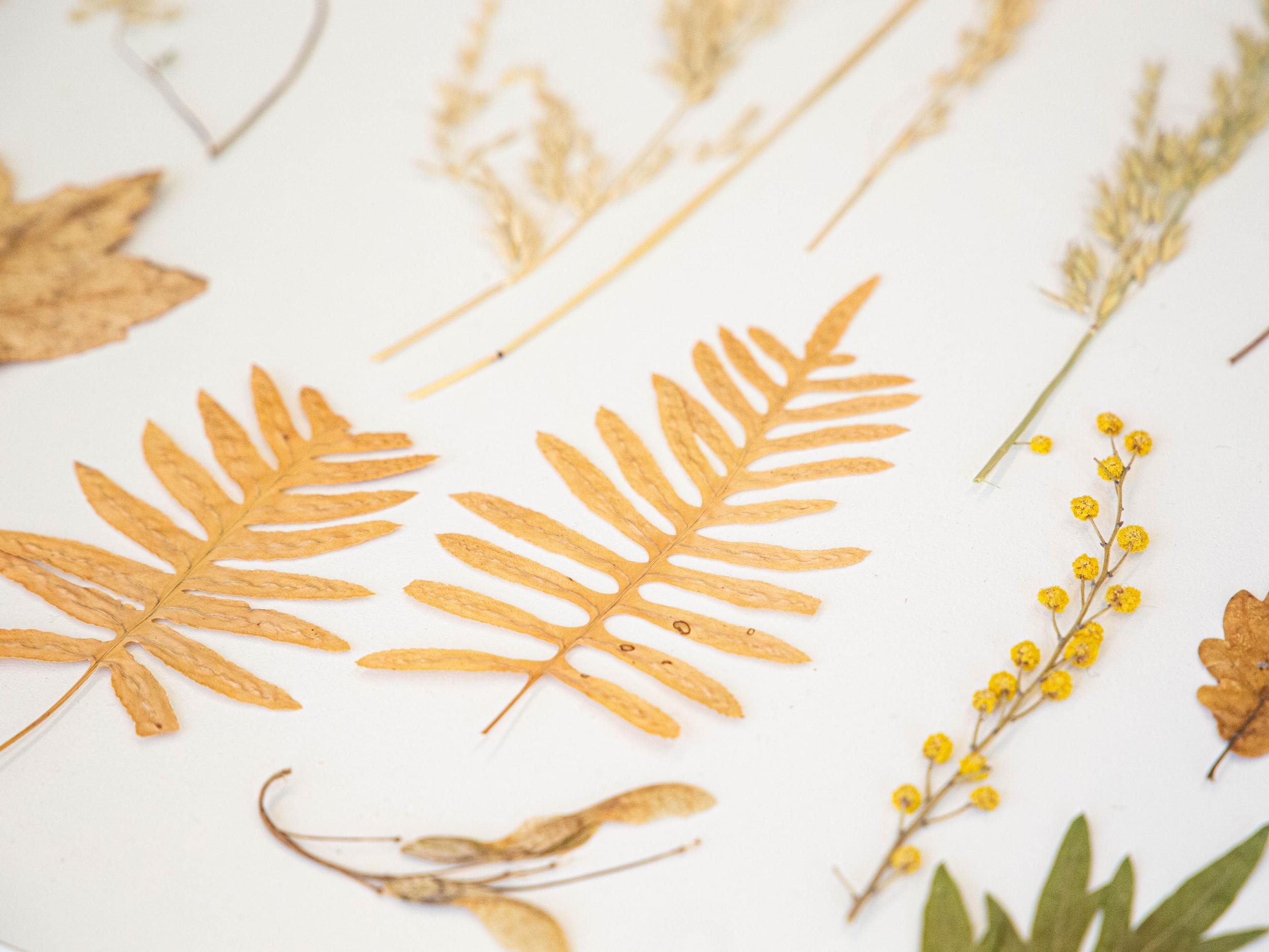 Réalisez votre carnet personnalisé avec Émilie - Afbeelding nr. 10 - Wecandoo