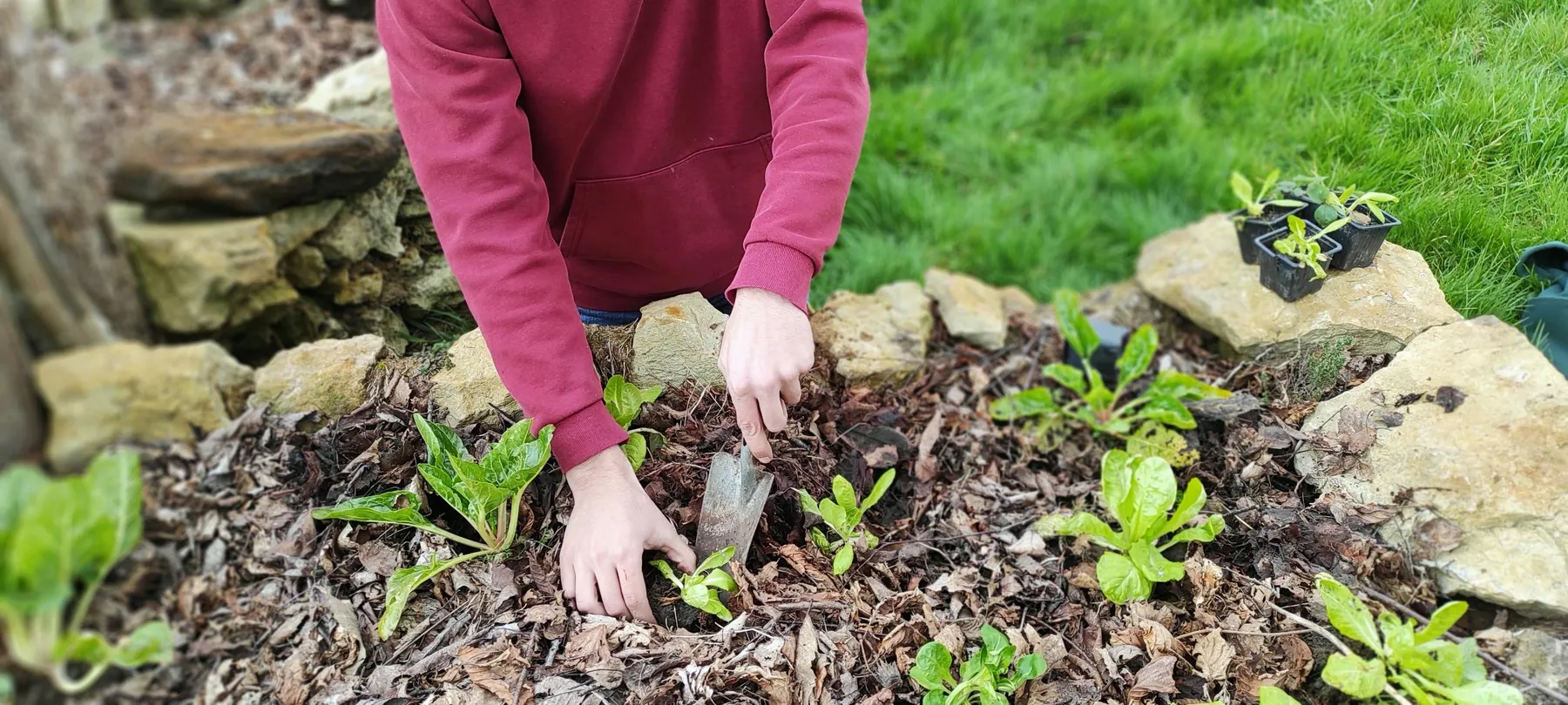 Découvrez la permaculture sur une journée avec Blandine - Image n°2 - Wecandoo