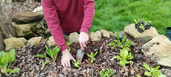 Découvrez la permaculture sur une journée avec Blandine - Image n°2 - Wecandoo