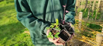 Découvrez la permaculture sur une journée