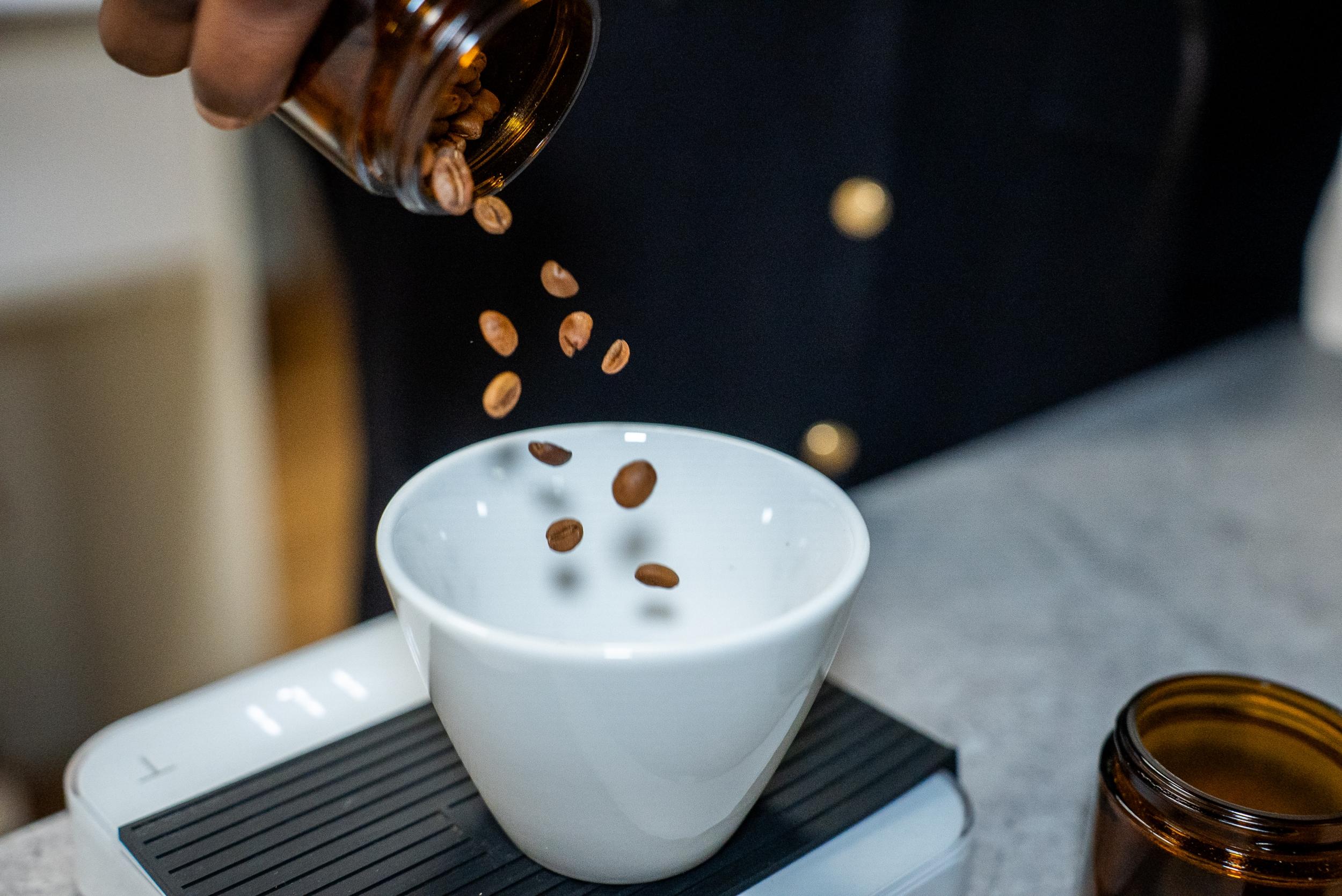 Initiez-vous à la méthode d'extraction espresso et art latte avec N'goné - Image n°7 - Wecandoo