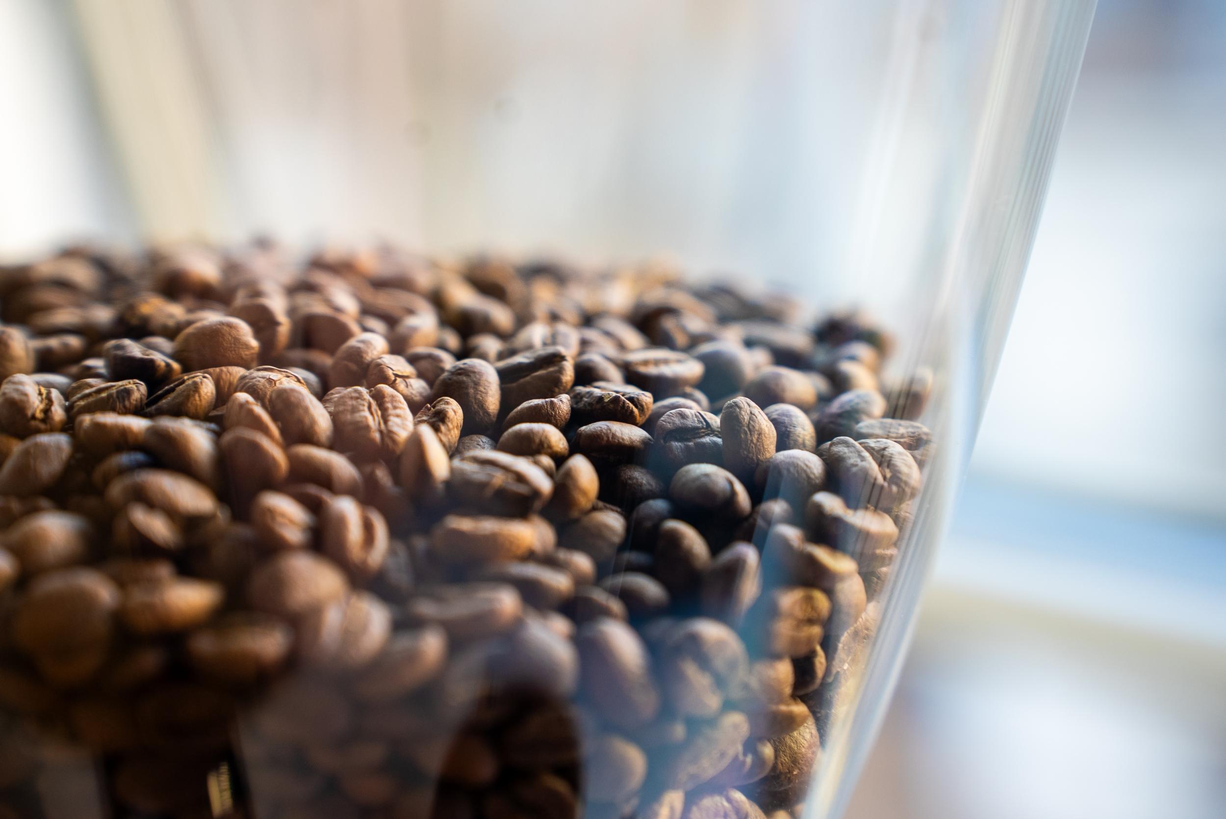 Initiez-vous à la méthode d'extraction espresso et art latte avec N'goné - Image n°11 - Wecandoo