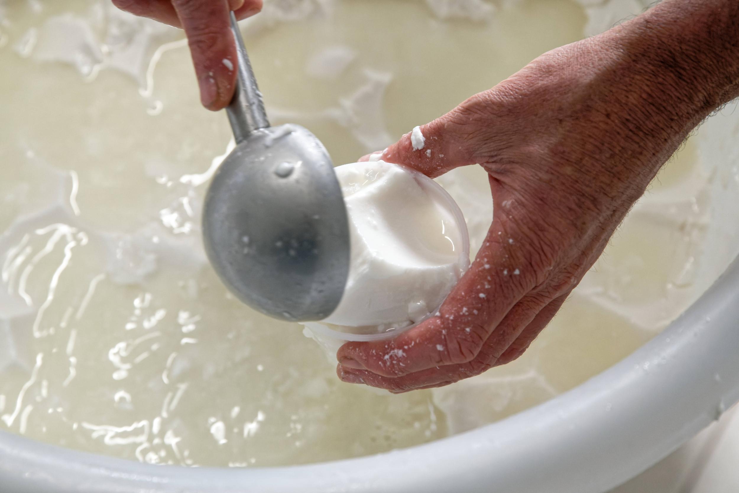 Fabriquez votre beurre et votre fromage de chèvre frais - Image n°7 - Wecandoo